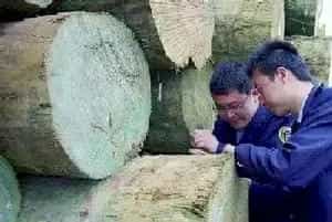 进口新红木带来的挑战