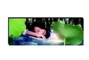 乙成:新年来临挂什么书法字画最吉祥？