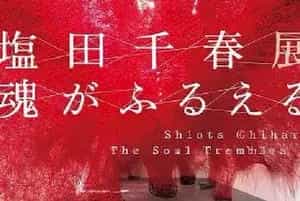在森美术馆读盐田千春