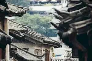 木雕金蝉图片大全,传统木雕金蝉