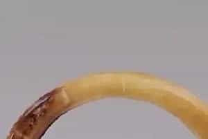 河南出土的玉器可真美！西周蝉纹玉饰一出场，我就被惊艳到啦！