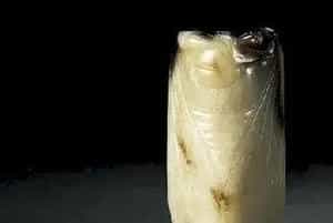 玉蝉：生命延续的象征