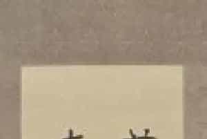 徐悲鸿行书评刺轴 - 故宫书法类藏品
