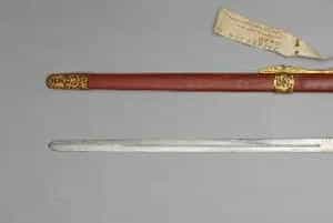 铁柄鲨鱼皮鞘辅德剑 - 故宫武备仪仗类藏品