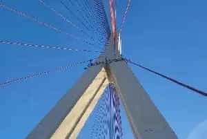 探讨城市园林绿化建设反季节施工技术应用