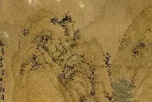 文徵明《山庄客至图》图赏