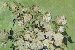 梵高《瓶中薔薇》欣赏
