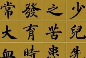 范笑歌楷书《中国少儿先心病基金宣讲辞》