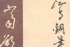 沈鸿根硬笔书法字帖《江鸟钢笔书法》