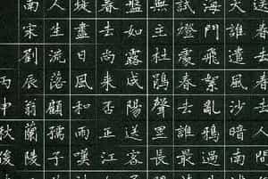 品翰堂杯第三届中国硬笔书法大赛银奖作品