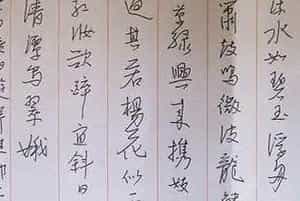 柳长忠硬笔书法作品