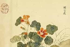 传世字画册页《海西杂卉》余省绘画+于敏中书法