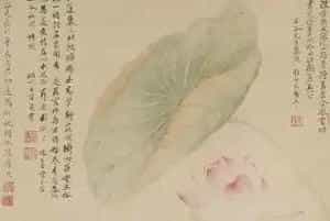 唐苂恽寿平《红莲绿藻图》欣赏
