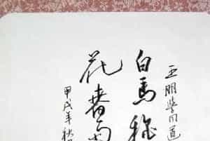 包明珠硬笔书法