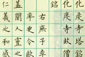 卢中南钢笔楷书欣赏《临欧阳询化度寺塔铭》