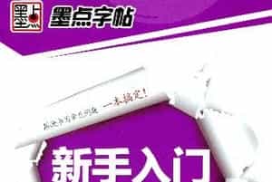 荆霄鹏硬笔行楷字帖《新手入门常见的20个问题》