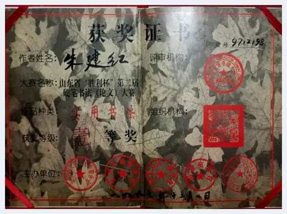 艺术先锋人物：著名画家朱建红_第12张