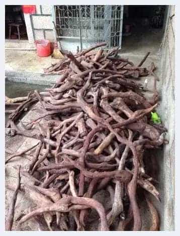 几个原因告诉你：海南黄花梨价格为啥狂涨_第1张