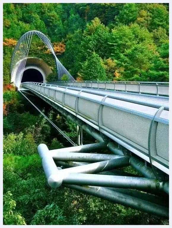 独山悠居 藏于日本的中国青铜器_第4张