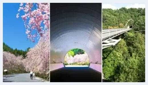 独山悠居 藏于日本的中国青铜器_第2张