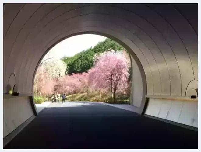 独山悠居 藏于日本的中国青铜器_第3张