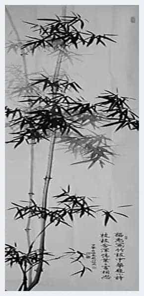 李福惠先生竹画赏析_第3张
