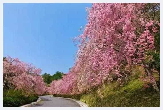 独山悠居 藏于日本的中国青铜器_第6张