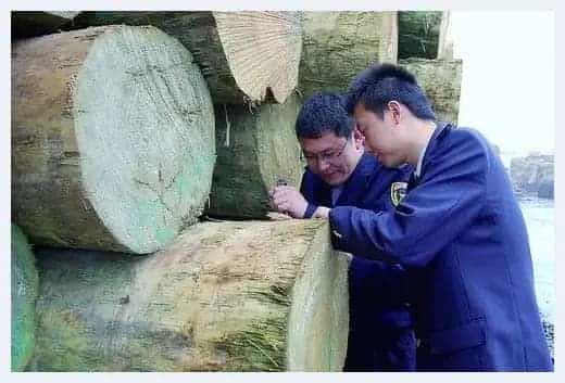 进口新红木带来的挑战_第1张