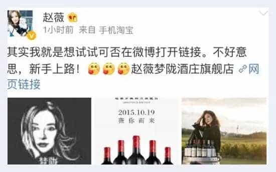 赵薇梦陇酒庄的那些事儿_第4张