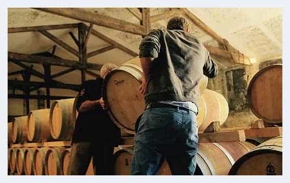 波尔多之梦 赵薇和她的梦陇葡萄酒庄_第9张