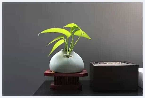 古朴自然 品味陶瓷慢生活_第14张