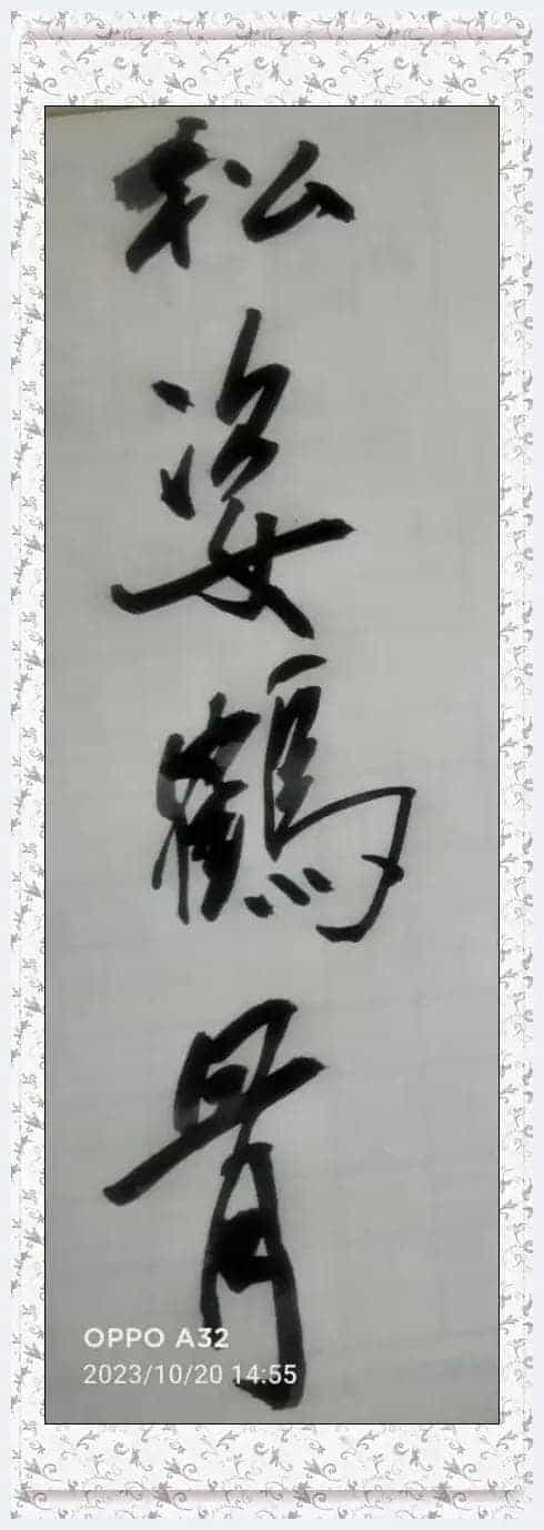 第十二届“鸿儒杯”海峡两岸书画大赛决赛获奖名单揭晓_第11张