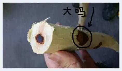 几个原因告诉你：海南黄花梨价格为啥狂涨_第7张