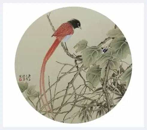 笔精墨妙——著名画家宋健华先生的花鸟世界_第16张