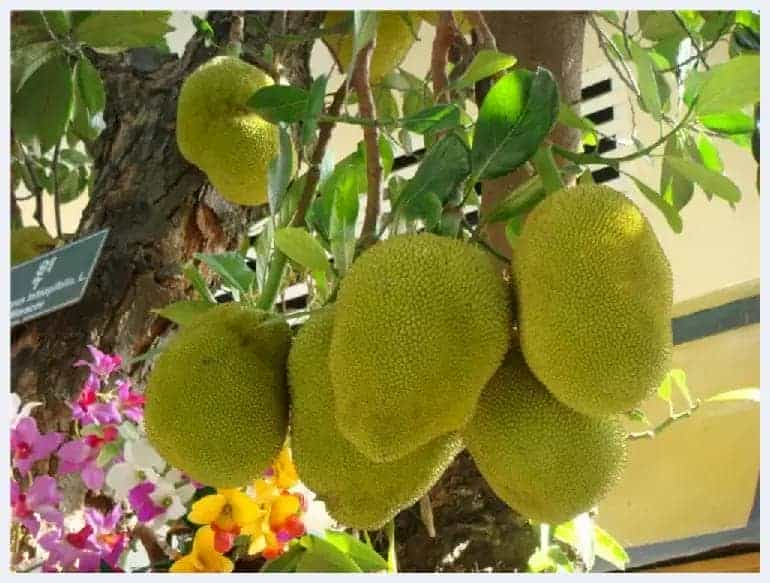 2018年度特别推荐画家：王旭升_第2张