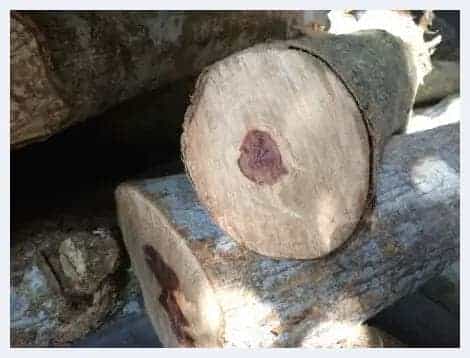 几个原因告诉你：海南黄花梨价格为啥狂涨_第5张