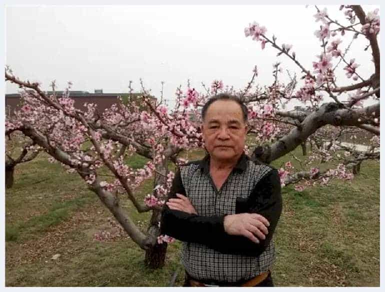 “党旗飘飘喜迎建国70周年”林建勋艺术赏析_第1张