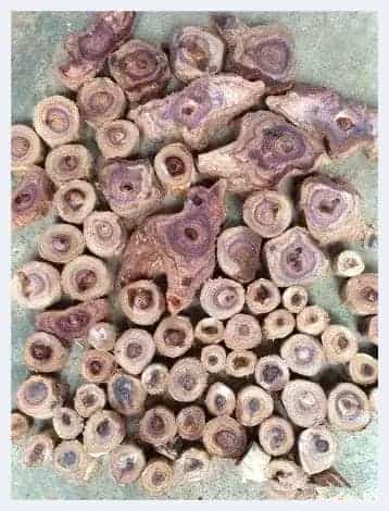 几个原因告诉你：海南黄花梨价格为啥狂涨_第8张