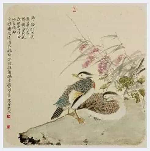 笔精墨妙——著名画家宋健华先生的花鸟世界_第11张
