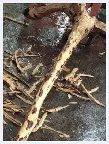 几个原因告诉你：海南黄花梨价格为啥狂涨_第4张