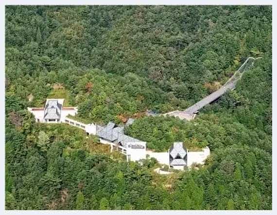 独山悠居 藏于日本的中国青铜器_第8张