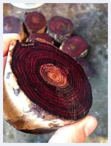 几个原因告诉你：海南黄花梨价格为啥狂涨_第2张
