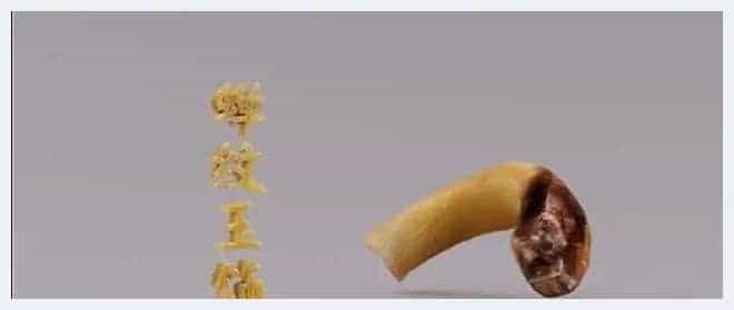 河南出土的玉器可真美!西周蝉纹玉饰一出场,我就被惊艳到啦!_第2张