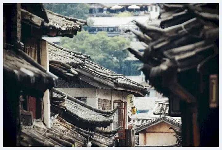 木雕金蝉图片大全,传统木雕金蝉_第1张