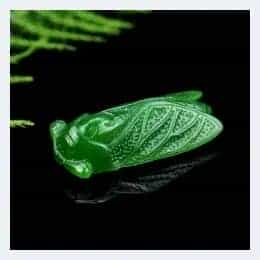 腰蝉万贯！翡翠玉蝉的禁忌，你都知道吗？_第1张