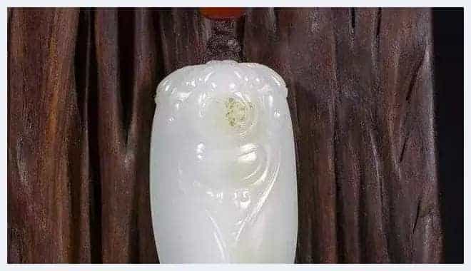 奇形怪状俏金蝉,吃知了挺好,看知了也不错_第23张