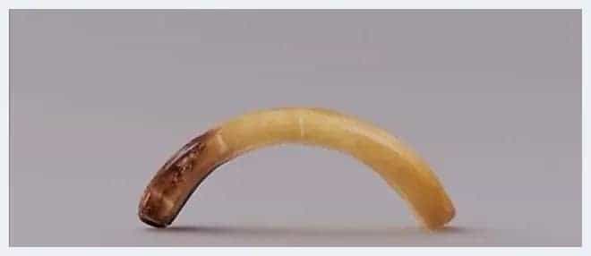 河南出土的玉器可真美!西周蝉纹玉饰一出场,我就被惊艳到啦!_第1张