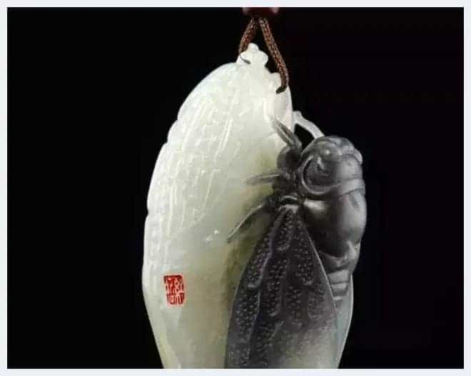 奇形怪状俏金蝉,吃知了挺好,看知了也不错_第26张