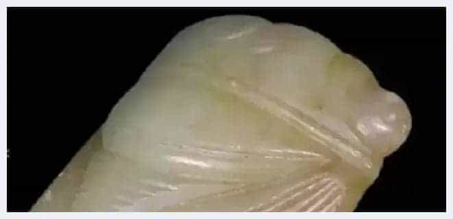 历代玉蝉汇集古玉界,不鸣则已,一鸣惊人!_第30张