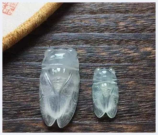 奇形怪状俏金蝉,吃知了挺好,看知了也不错_第31张